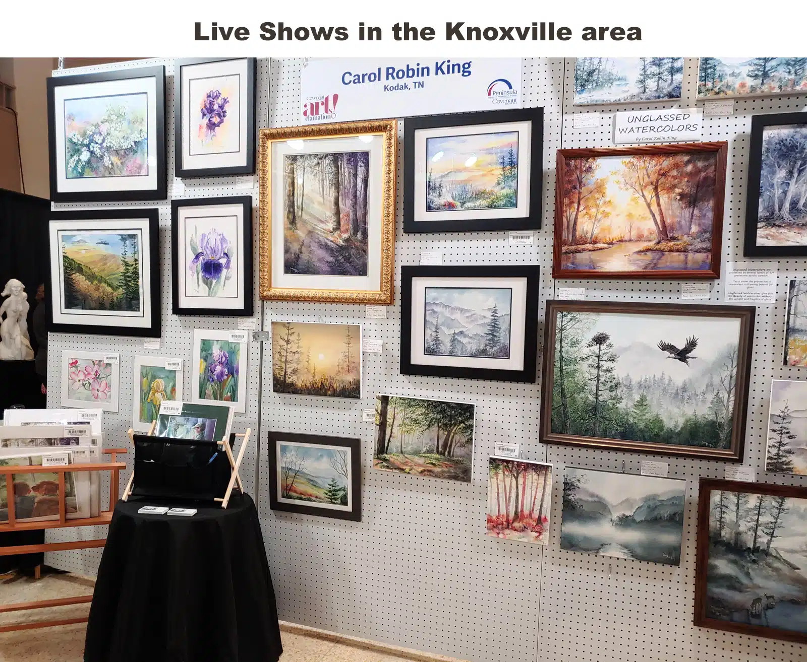 knoxville shows