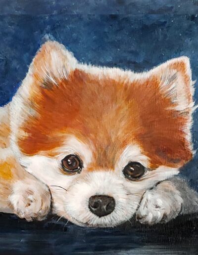 Foxy dog pet portrait